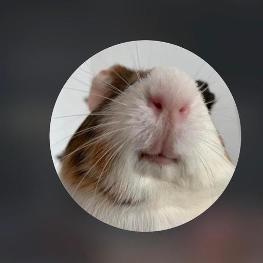Avatar von konsolendoc